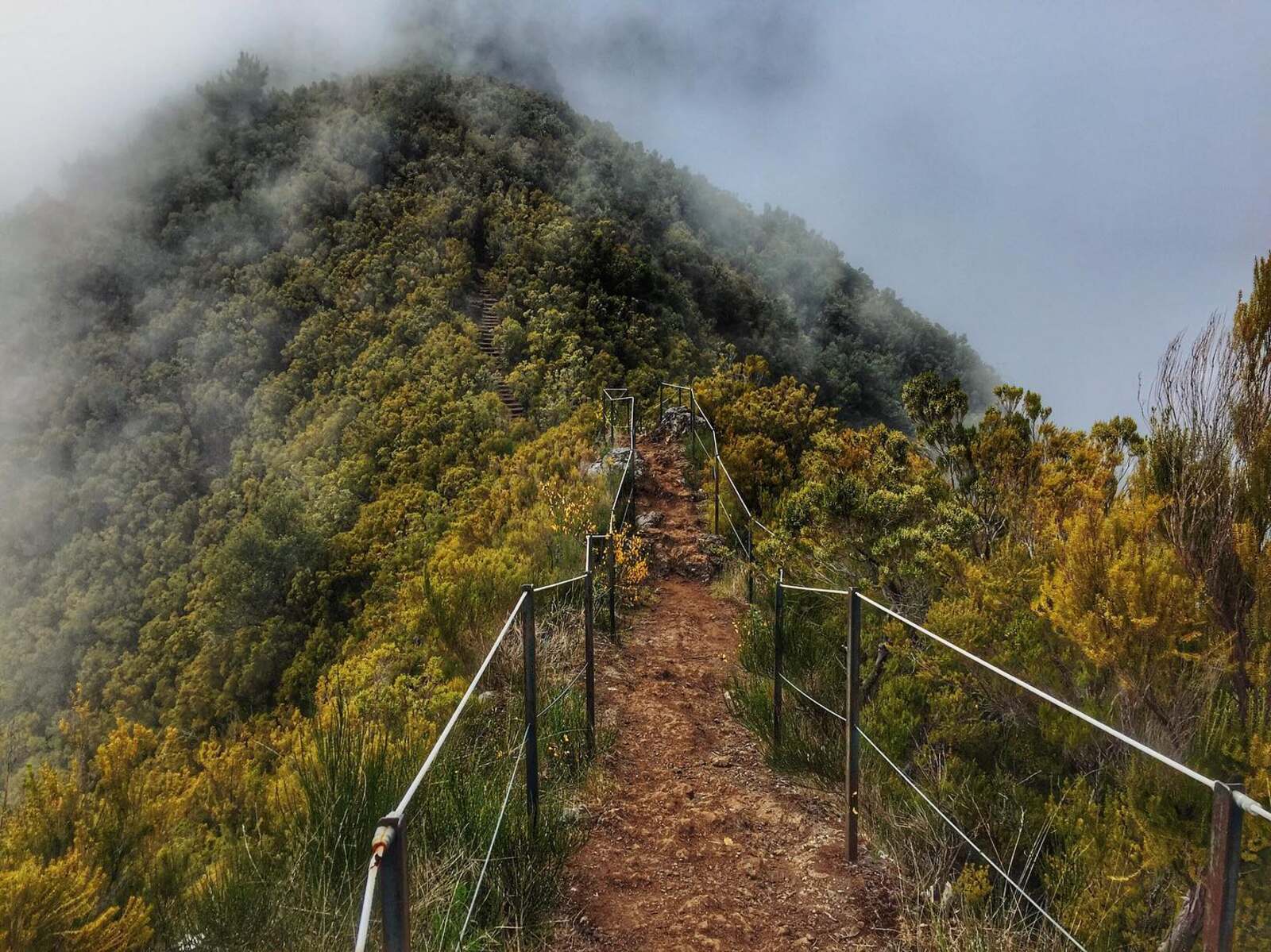 Laukinė Madeira – žygiai kalnuose